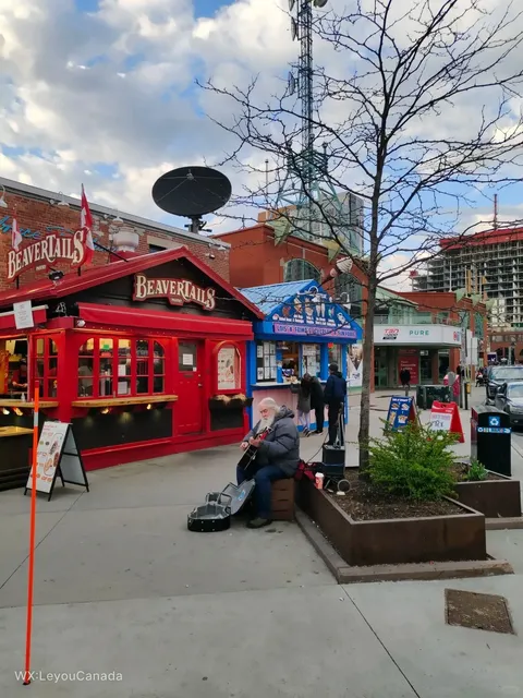 Byward Market in Ottawa: Full of Life and Flavor 🍔