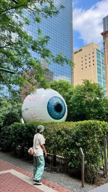 Dallas Downtown (DT) Day Trip