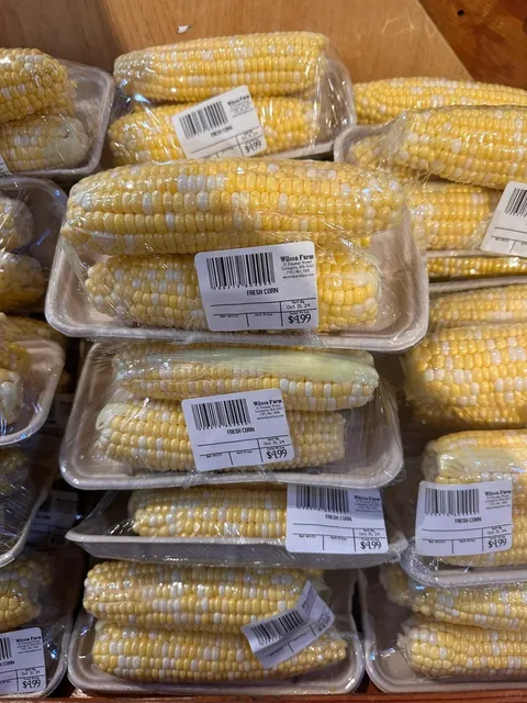 Boston | Wilson Farm: A Farm for Dog Walking