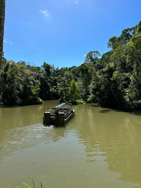 🇦🇺 The Ultimate Cairns Travel Guide — Mapped Out! 🗺️