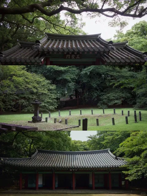  Birthplace of the Tamna Myth | Samseonghyeol (Three Clan Caves) in🙁