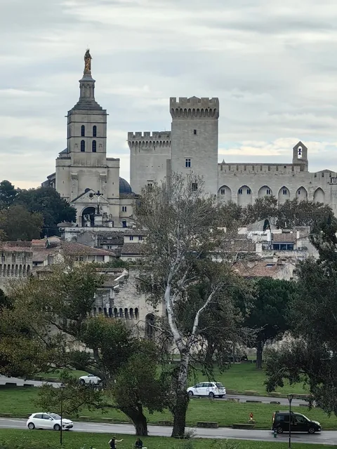 Exploring the Soul of Provence 🏰 Avignon 🚶