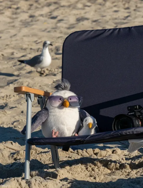 Dog-Friendly Beaches Near Philadelphia - Higbee Beach