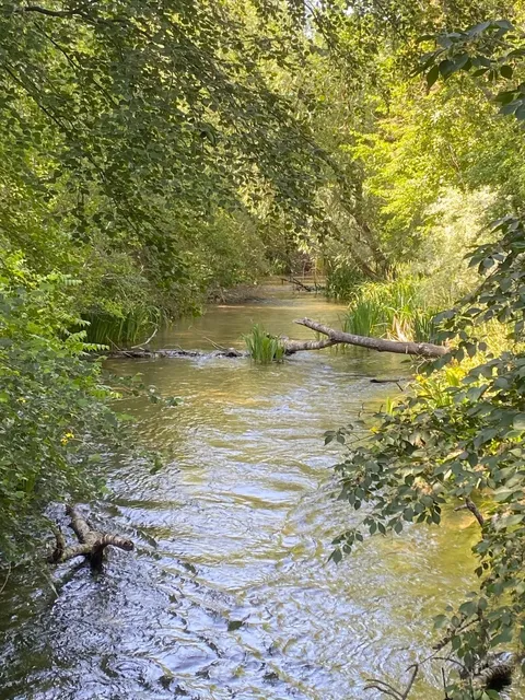 Two Weeks in Boise 🌿💭