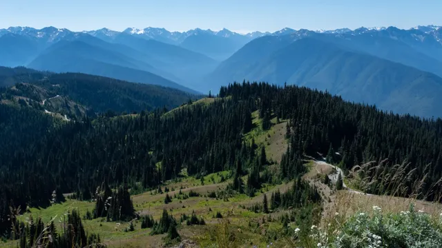 Guide to Major National Parks Near Seattle — Olympic National Park