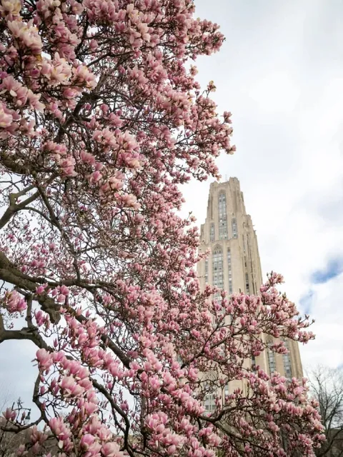 🇺🇸 Pre-Semester Pittsburgh Bucket List for New Students 🎓✨