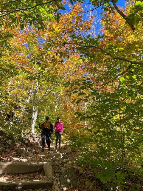 🍁 Acadia’s Top Fall Foliage Trail — Ocean Views & Cliffside Hikes! 🍂