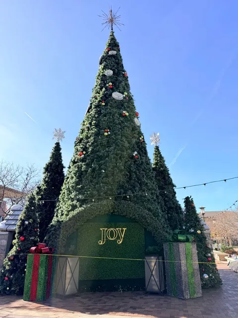 Denver Finds | Orchard Parkway is Lowkey a Gem! 🛍️