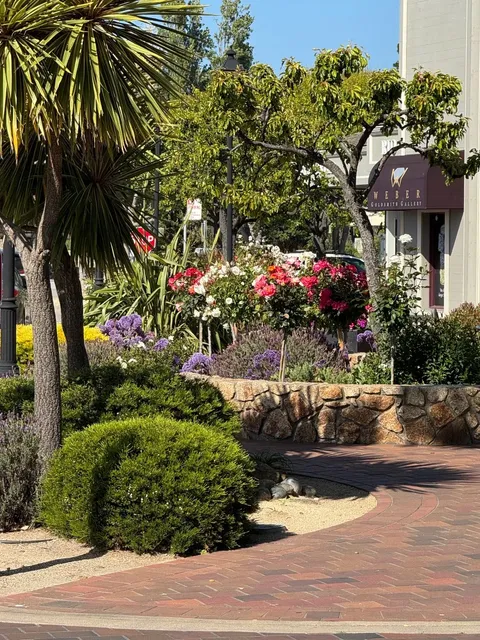 🇺🇸 Monterey & Carmel: Towns Worth Revisiting Countless Times