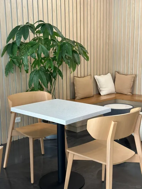 Chicago’s Perfect Study/Work Cafe — Frera Desserts ☕️