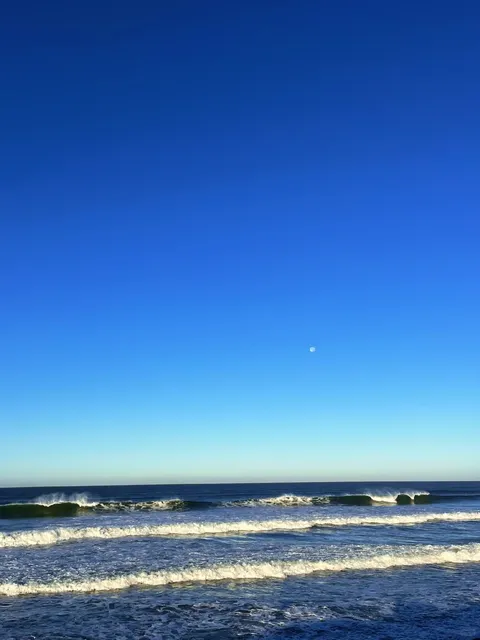 Torrey Pines Beach Trail | Hiking in San Diego