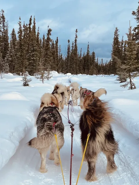 Alaska 10-Day / 9-Night Deep-Dive