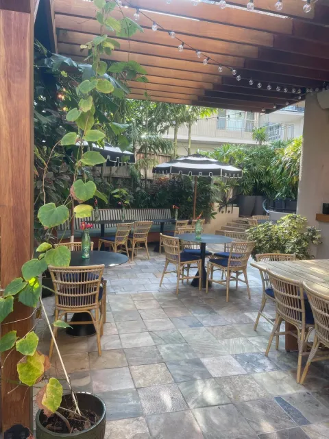 An Amazing Penthouse-Style Getaway! 🌴✨