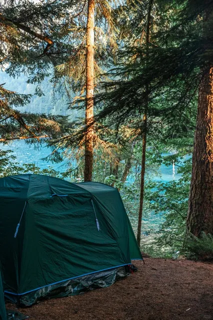  Securing Olympic National Park's Crown Jewel 🏕️💙​​