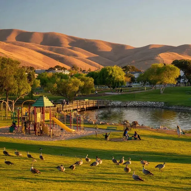 South Bay Hall Memorial Park Experience | Family-Friendly Relaxation