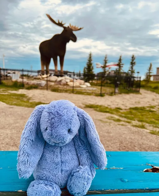 Discovering Regina: A Tour of Its Captivating Attractions