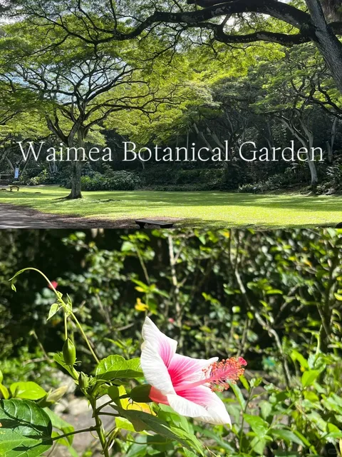 🌺 3-Day Itinerary for Honolulu , Hawaii 🌿