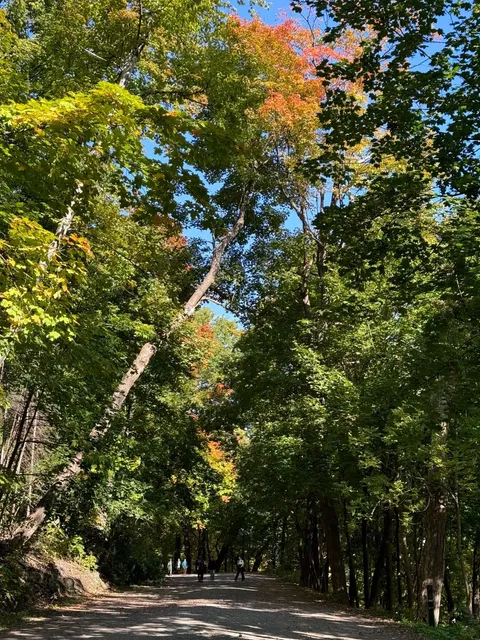 🌄 Mont-Royal Park: Montreal’s Urban Oasis & Panoramic Paradise （2）