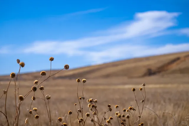 Denver Wildlife Refuge