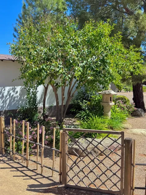 AZ｜Tucson’s Hidden Zen Escape: Step Into a Japanese Garden 🌿