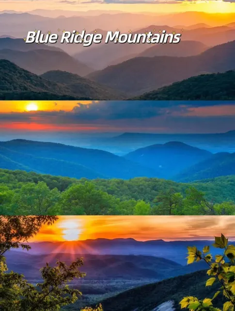 Look what hidden gem I found! Check this out, guys! @Virginia 🤩