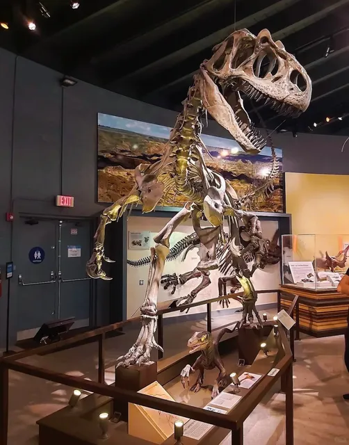 🦕 A Hidden Fossil Museum on a School Campus  