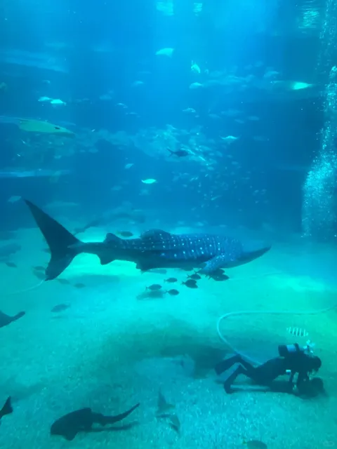 Kansai 5-Day, 4-Night Family Trip (Part 1) 🌟