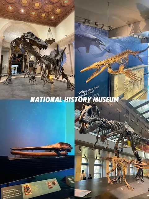 🎫 $0 LA Citywalk｜One Person, One Day, All by Bus! 🚌