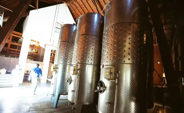 Hidden Gem Spots 🌟Hermann J. Wiemer Vineyard