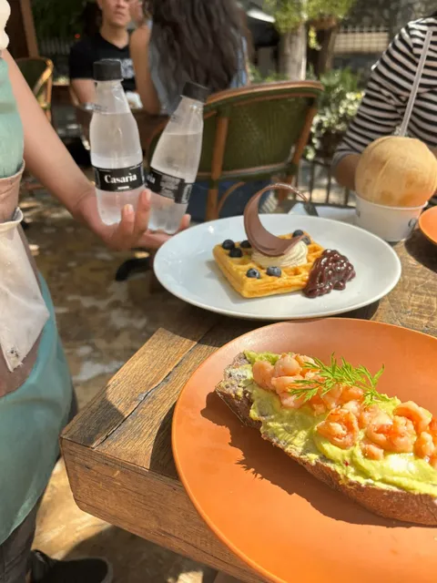 Sao Paulo 🇧🇷 Fragments | The relaxed atmosphere of Italian brunch 🦫