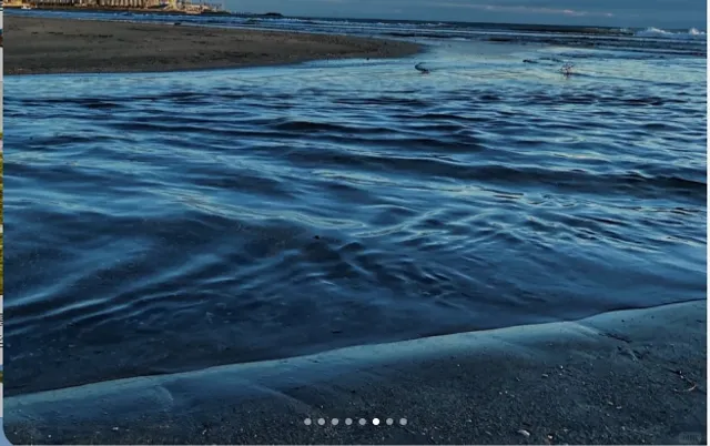 🌊 Yuigahama Travel 🌿