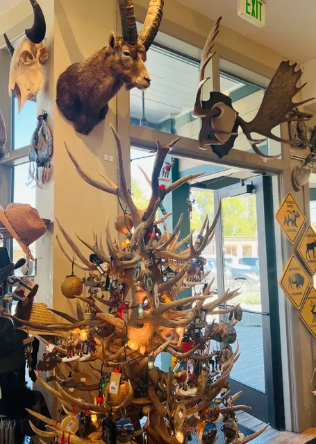 Jackson, the Cowboy Town in the American West