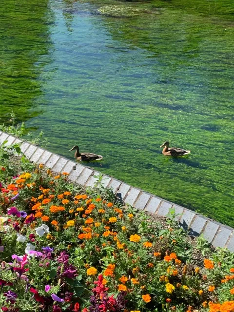 🇬🇧 Canterbury Day Trip: London’s Fairytale Backyard 💐✨