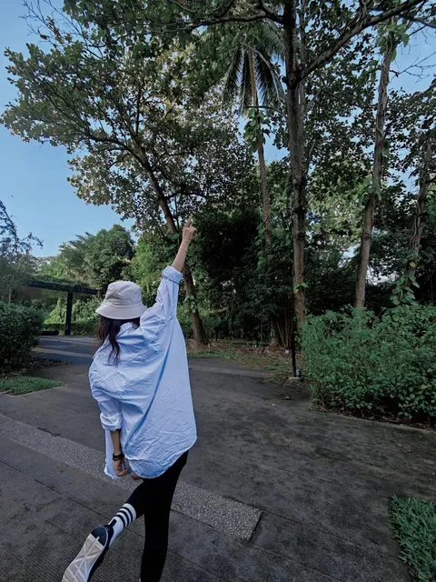 Clementi Forest Rainforest Hike is a must-visit! 🌿🌳