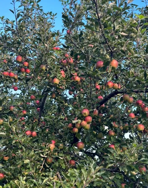 Tallinn, Estonia | These Restaurants Are Absolutely Delicious