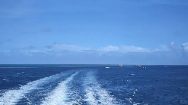 "Romance Never Dies!" Hamilton Island Travel Guide