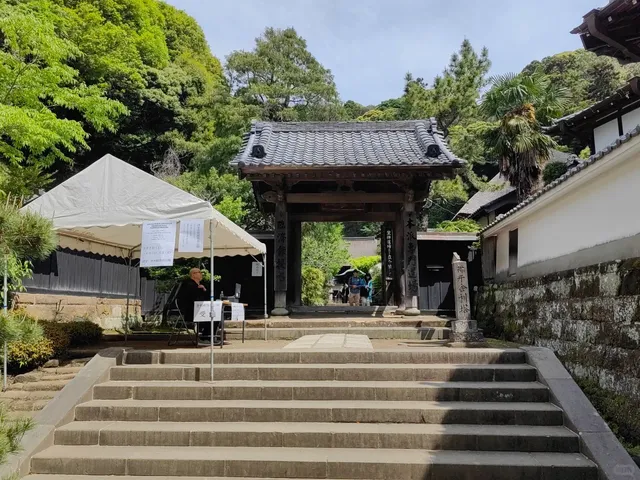 Kamakura Engaku-ji | Introduction 1 🌟
