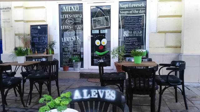 Living in Miskolc Uncovered ✨｜Complete Guide to Renting & Dining