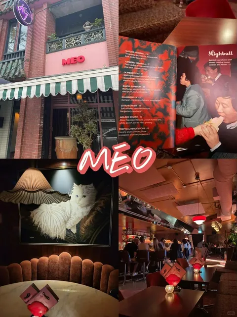 MEO - Vancouver's Groovy 70s Disco Pink Retro Bar 🕺💖