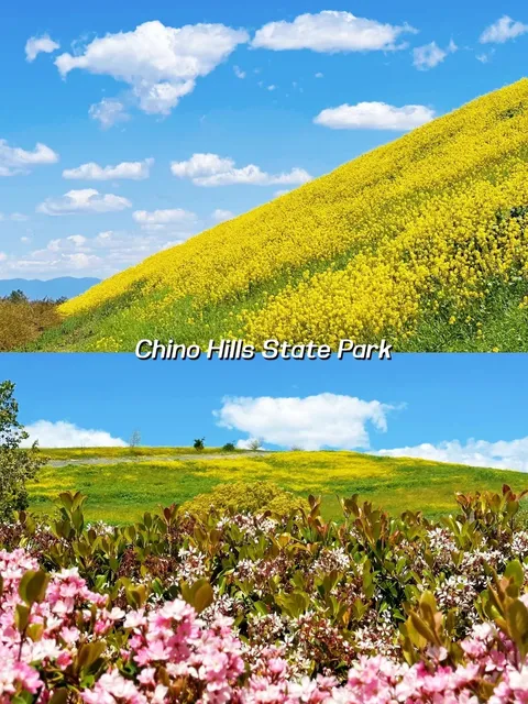 📍 Super Scenic & Healing Hiking Trails in LA! Let’s Go～