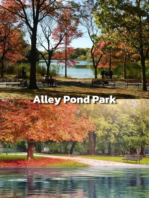 Great Places to Visit in New York(2)