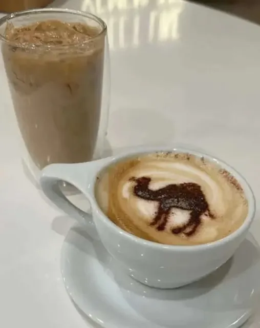 Discovering a Hidden Gem in Dallas: Arwa Yemeni Coffee