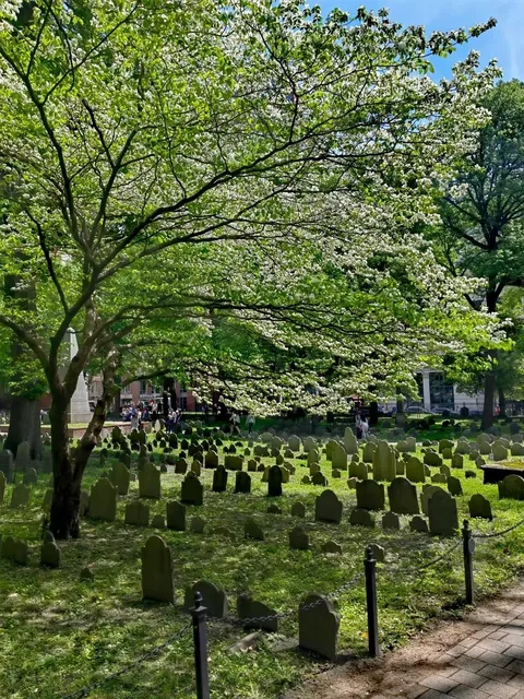 Granary Burying Ground ⚰️🍃