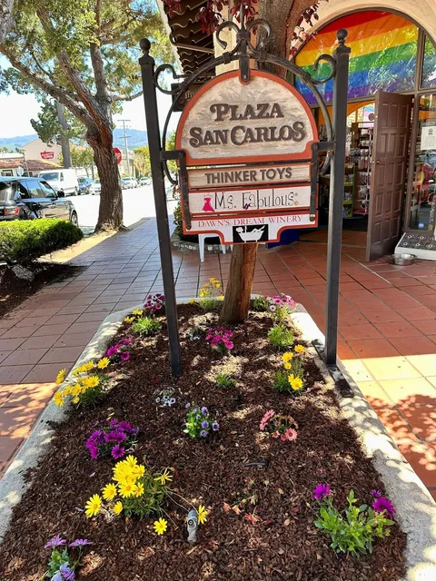 🌼 Weekend Flower & Art Escape: Carmel-by-the-Sea 🎨