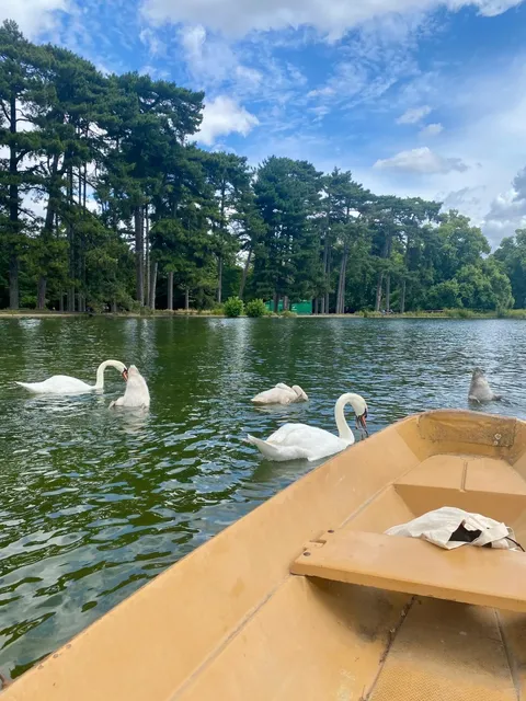Paris｜Summer in Bois de Boulogne 🌳🌳🌳