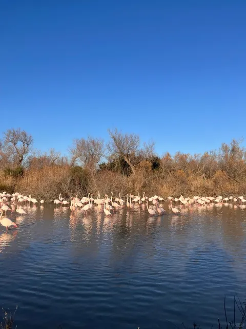 Day 3: Camargue Nature Park → Saintes-Maries-de-la-Mer → Béziers
