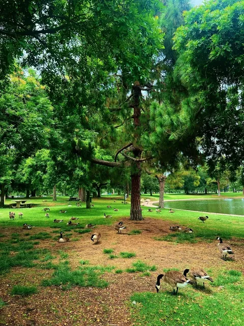 💜Step into a Fairytale with Your Kids