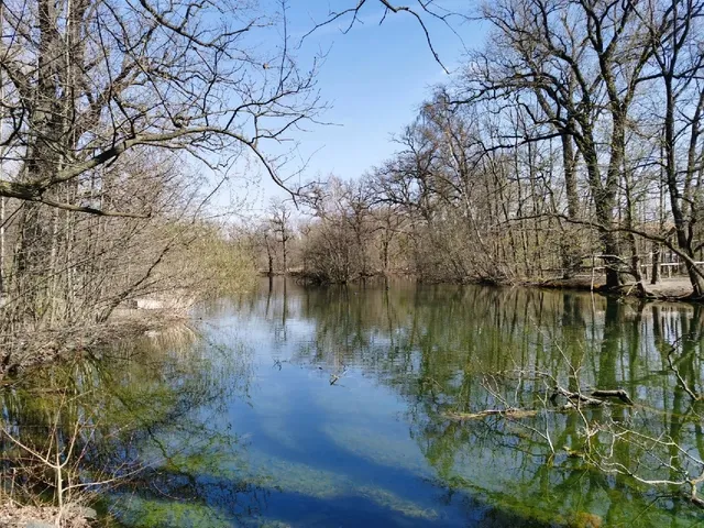 🇩🇪 Braunschweig Travel Guide