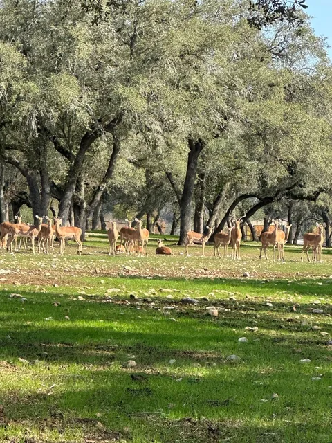 A Day Trip to San Antonio