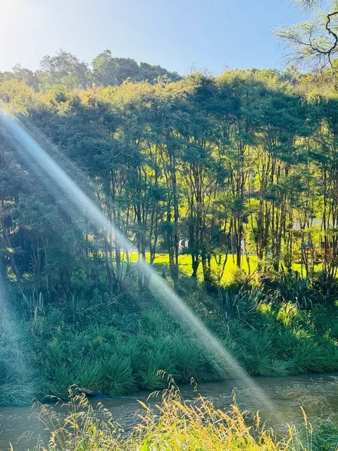 Hiking Near Auckland 📍 Connect with Nature | Hunua Falls 🌊  